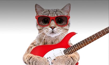 4 Things to Rock Next School Year