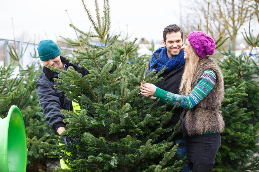 Christmas Tree Fundraiser for Schools