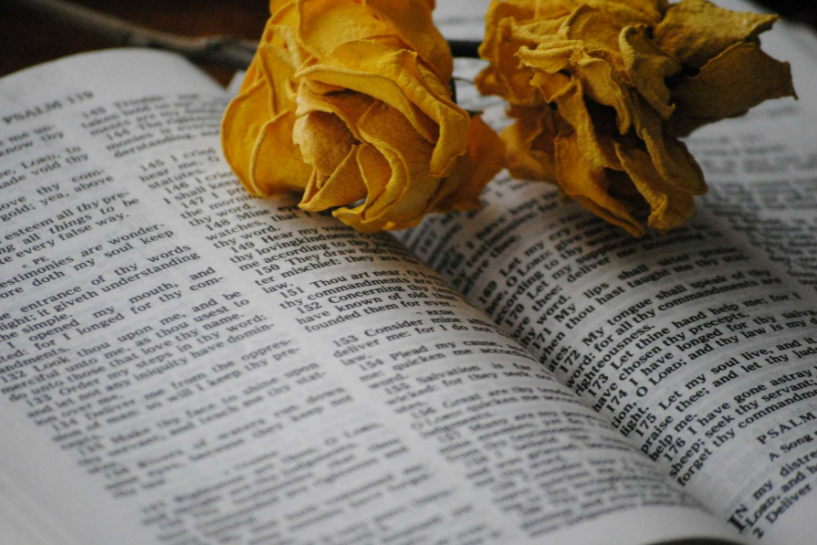 Church Anniversary Announcement Letter with Flowers on Top