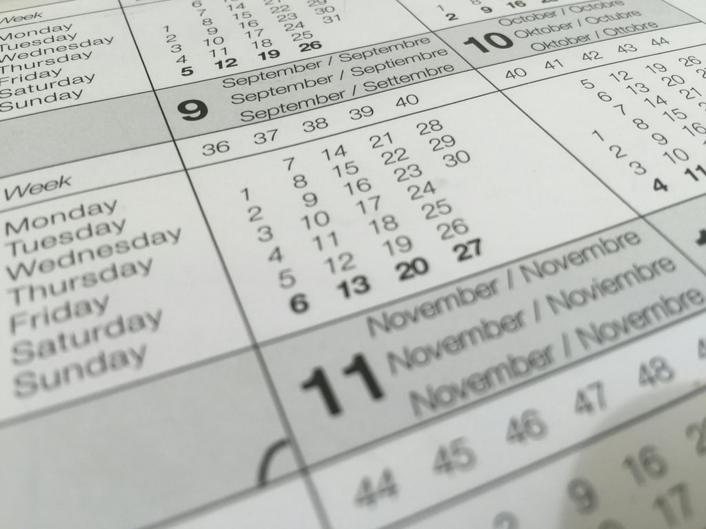 Daycare curriculum