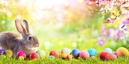 Easter Fundraising Ideas for Churches - Blog