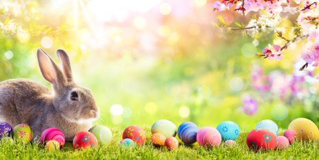 Easter Fundraising Ideas for Churches