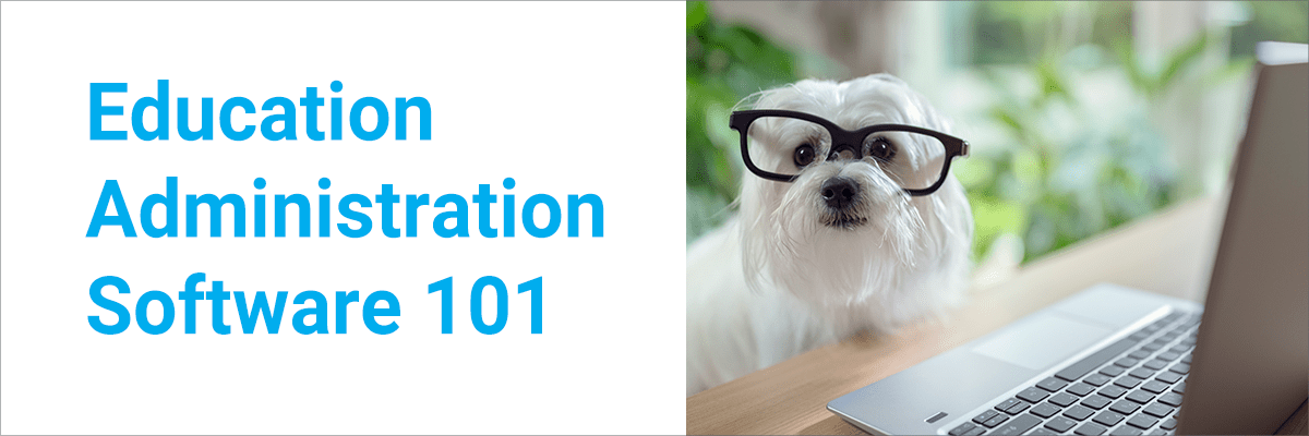 White dog wearing glasses looks attentively over a laptop