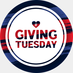 Giving-Tuesday-Playbook-1
