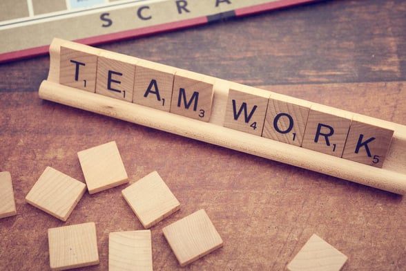 Image of Principles of Effective Teamwork in Childcare You Must Know