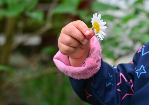Preschool student holding a flower, during a spring class activity