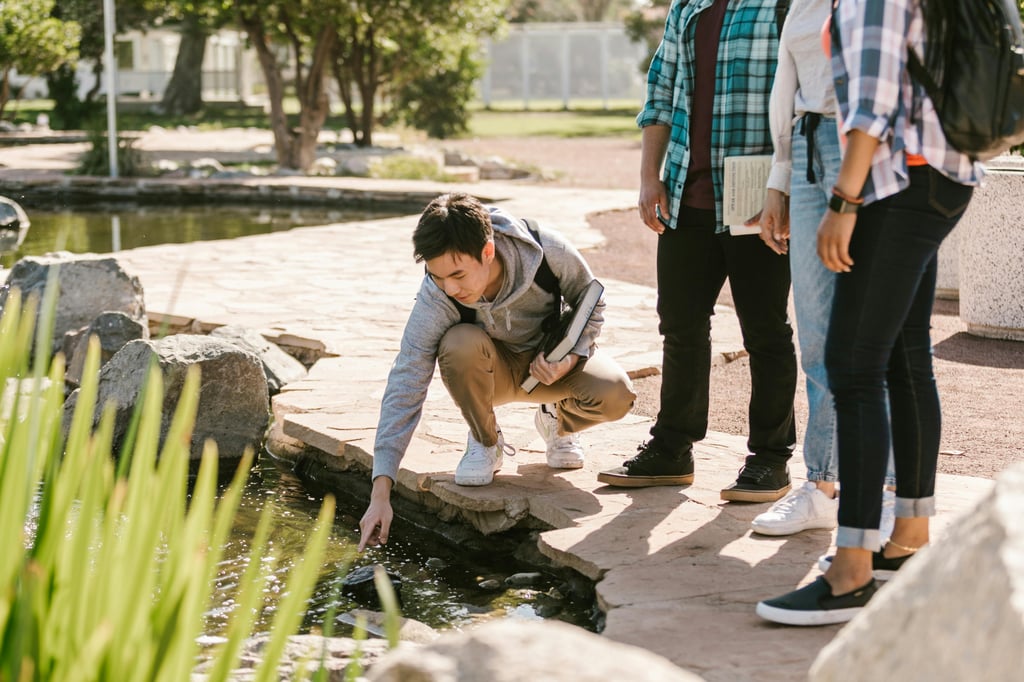 Students on a field trip outside