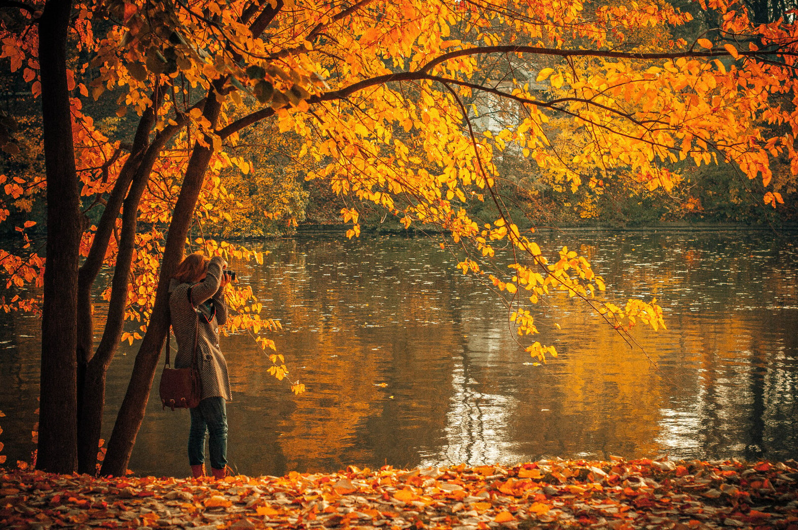 Woman Taking a Photo of Fall Scenery