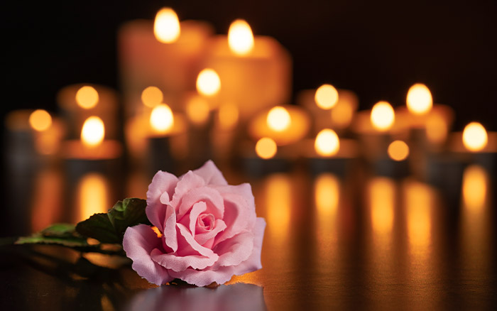 pink-rose-in-front-of-candles