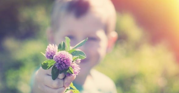 Preschooler holding a flower