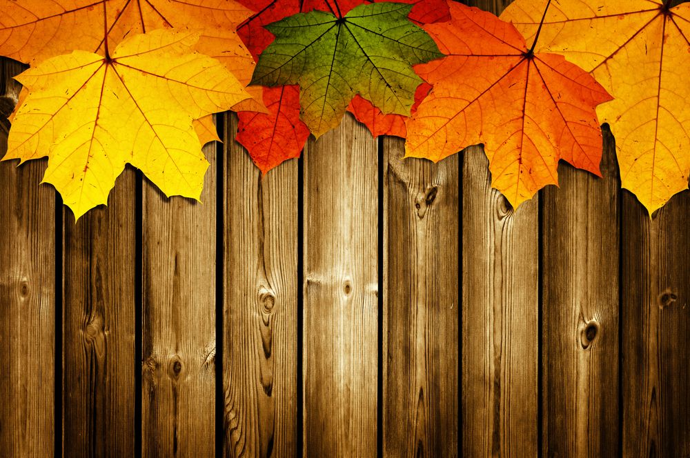 Fall Theme - Bulletin Board Ideas for Church