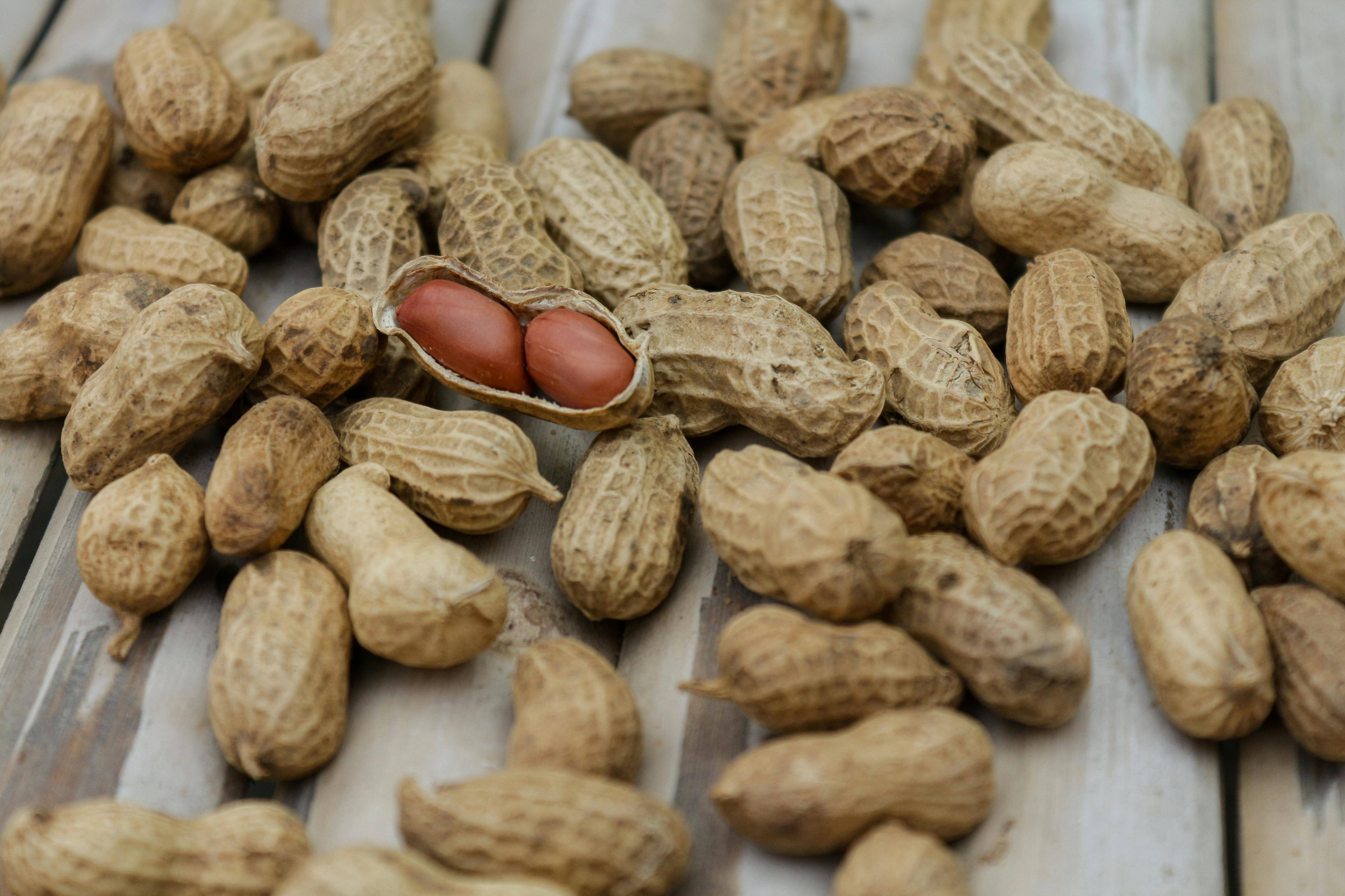 Image of peanuts, representing a common food allergy in schools