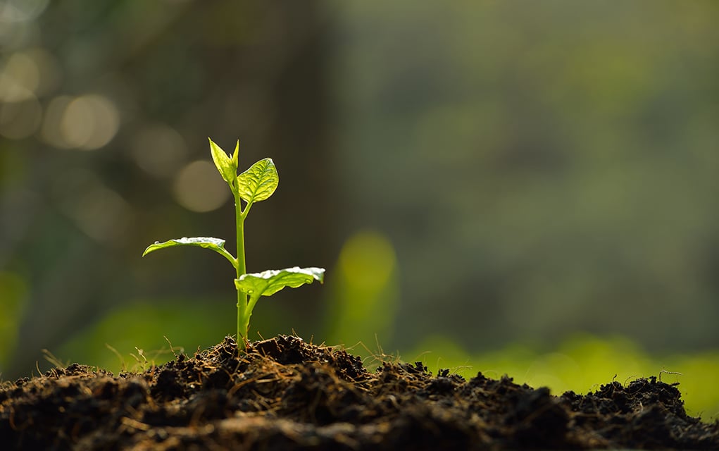 outreachmagazine.comwp-contentuploads20220922_0921_SMALLCHURCH_How-to-grow-a-small-church_1021x640